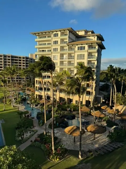 The Napili Tower, Kaanapali, Maui — Ace Glass Tinting
