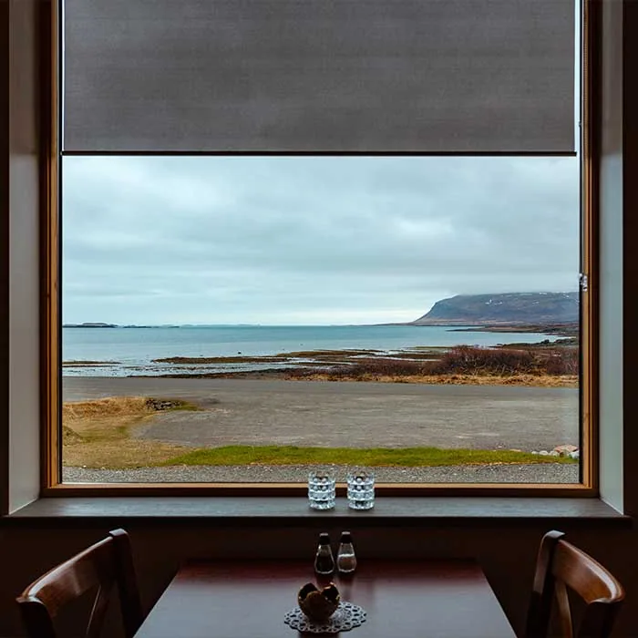 Surface Protection — window film by Ace Glass Tinting